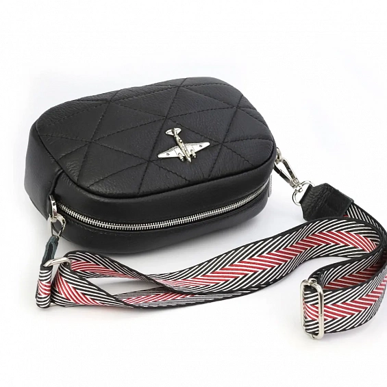Сумка с самолетом